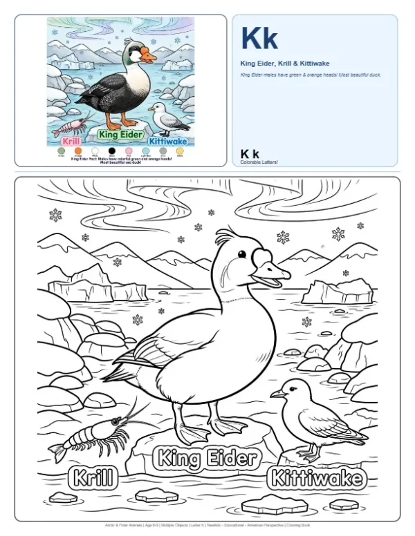 Abc Coloring Sheets King Eider - Letter K Coloring Page Abc Coloring Sheets King Eider - Letter K Coloring Page