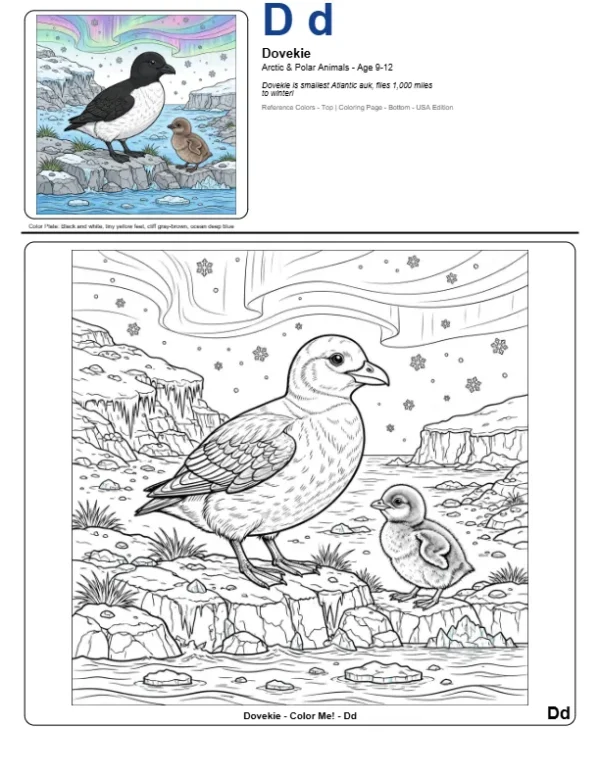 Adult Color Page Dovekie - Letter D Coloring Page