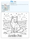 Animated Arctic Fox Coloring Pages - Letter A Coloring Page