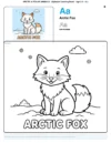 Arctic Fox Coloring Pages - Letter A Coloring Page