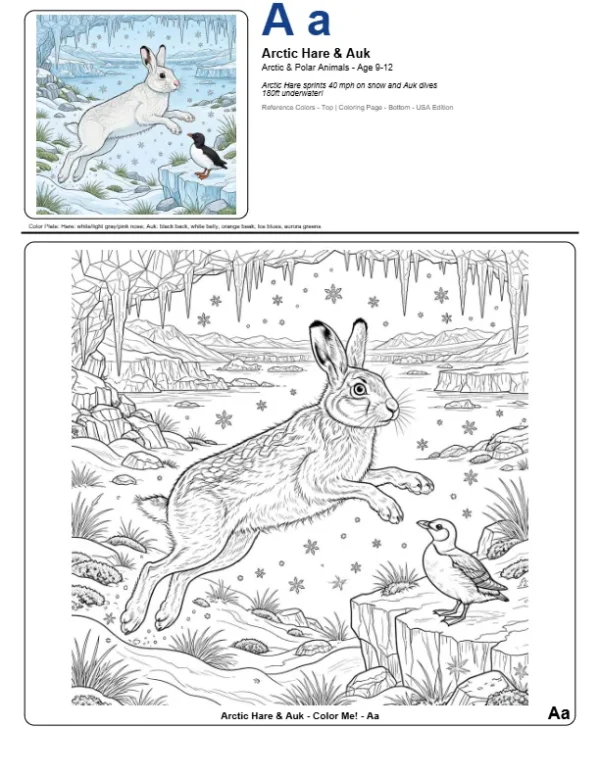 Arctic Hare Coloring Page - Letter A Coloring Page
