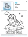 Baby Seal Coloring Pages - Letter R Coloring Page