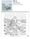 Calming Coloring Pages Snowy Owl - Letter O Coloring Page