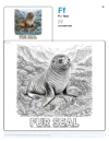 Circus Seal Coloring Page - Letter F Coloring Page