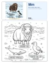 Color Alphabet Musk Ox - Letter M Coloring Page