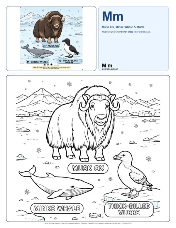 Color Alphabet Musk Ox - Letter M Coloring Page