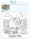 Color By Number Printables For Adults Arctic Vole - Letter V Coloring Page