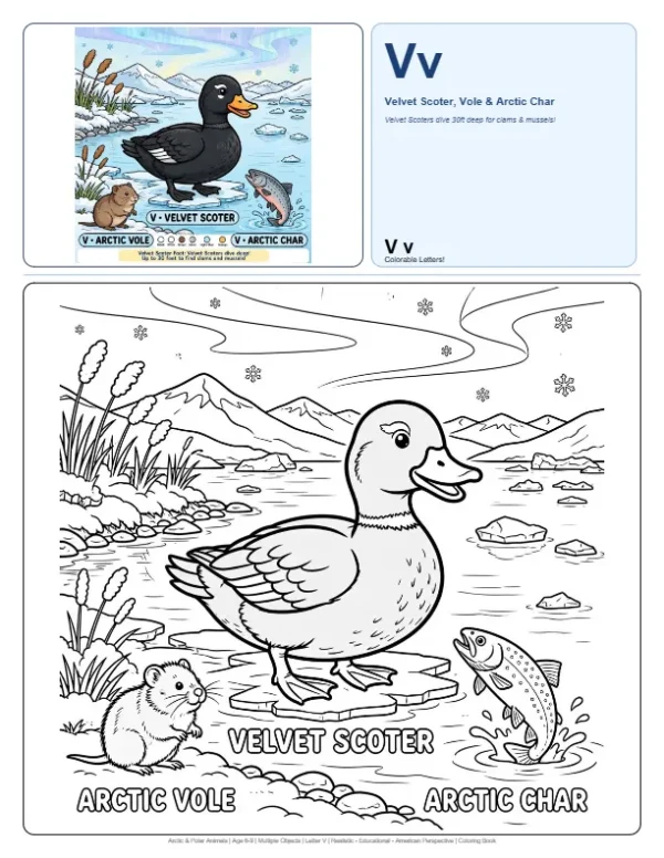 Color Online For Kids Velvet Scoter - Letter V Coloring Page