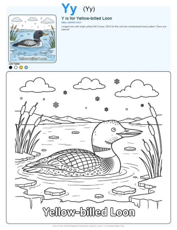 Color Page Yellow-billed Loon - Letter Y Coloring Page