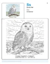 Coloring For Kids Snowy Owl - Letter S Coloring Page