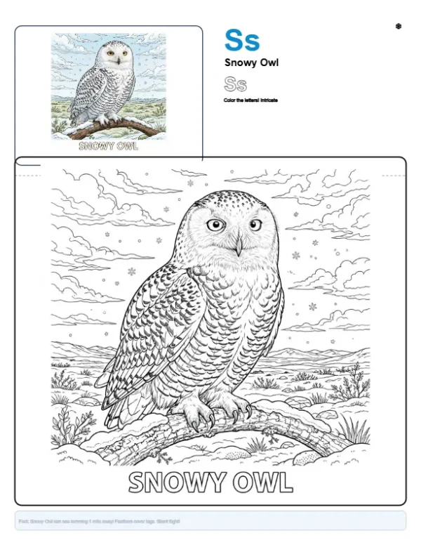 Coloring For Kids Snowy Owl - Letter S Coloring Page
