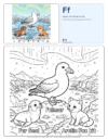 Coloring Images Fulmar - Letter F Coloring Page