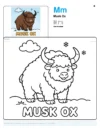 Coloring Musk Ox - Letter M Coloring Page