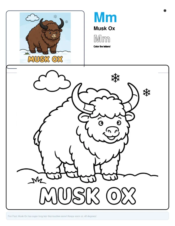 Coloring Musk Ox - Letter M Coloring Page