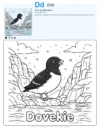 Coloring Online Dovekie - Letter D Coloring Page