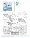 Coloring Page For Kids Xeme - Letter X Coloring Page