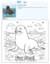 Coloring Page Seal - Letter F Coloring Page