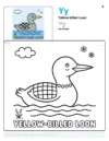 Coloring Page Yellow-billed Loon - Letter Y Coloring Page