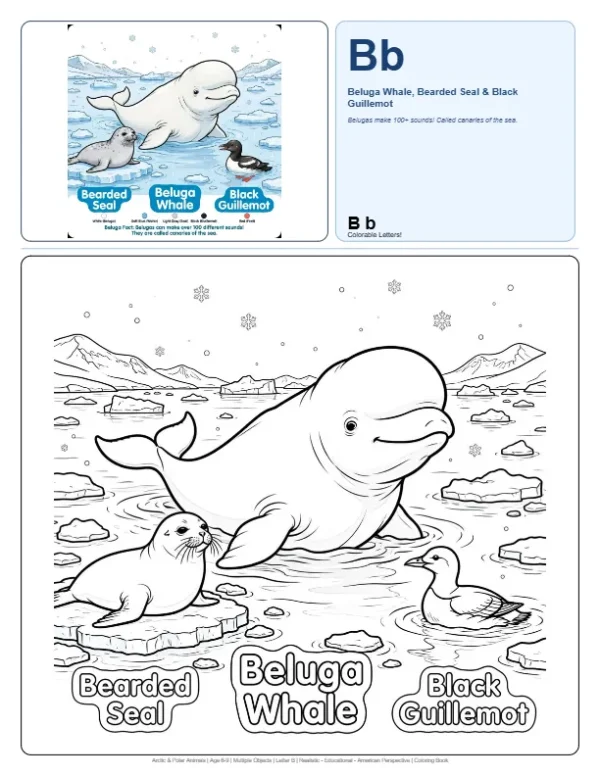 Coloring Pages For Adults Printable Beluga Whale - Letter B Coloring Page