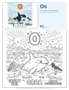 Coloring Pages For Children Orca - Letter O Coloring Page