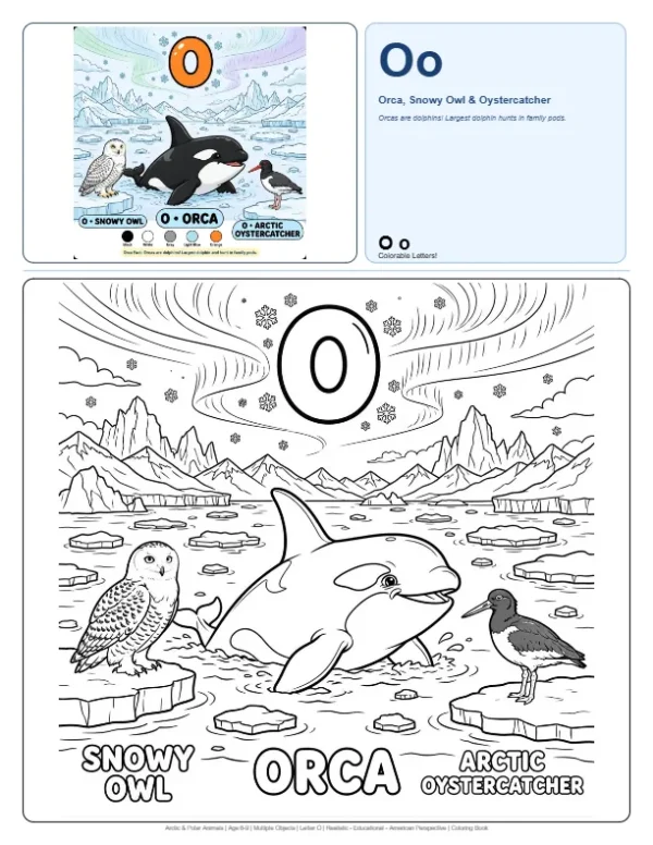 Coloring Pages For Children Orca - Letter O Coloring Page