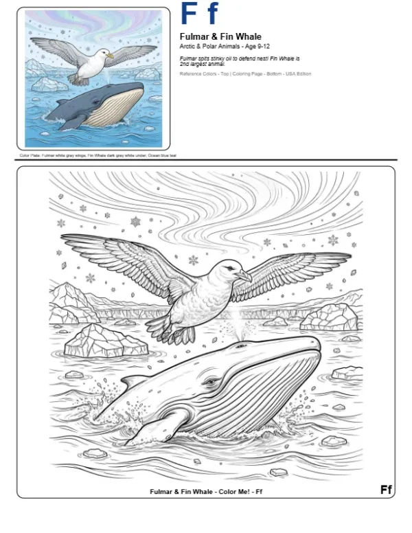 Coloring Pages For Teenage Girl Fulmar - Letter F Coloring Page