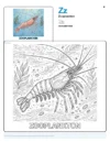 Coloring Pages Free Zooplankton - Letter Z Coloring Page