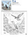 Coloring Pages Pdf Guillemot - Letter G Coloring Page