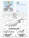 Coloring Pages Printable Free Zooplankton - Letter Z Coloring Page