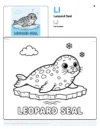 Coloring Pages Seal - Letter L Coloring Page
