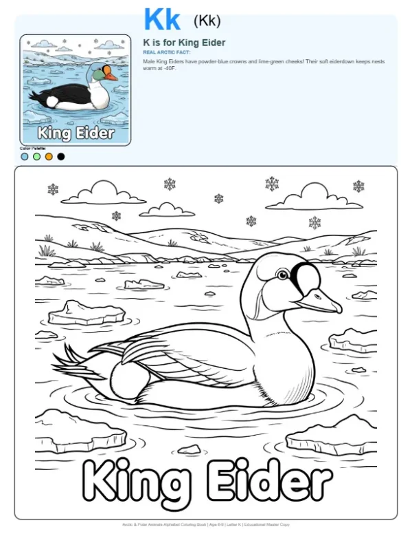 Coloring Pages To Print King Eider - Letter K Coloring Page