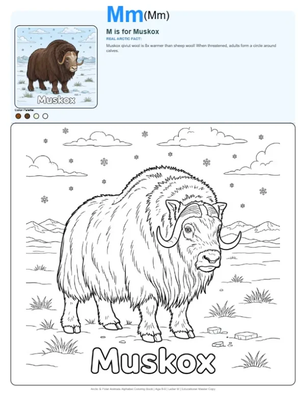 Coloring Pictures For Kids Muskox - Letter M Coloring Page