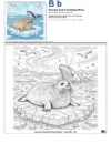 Coloring Pictures Seals - Letter B Coloring Page