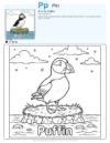 Coloring Worksheets Puffin - Letter P Coloring Page