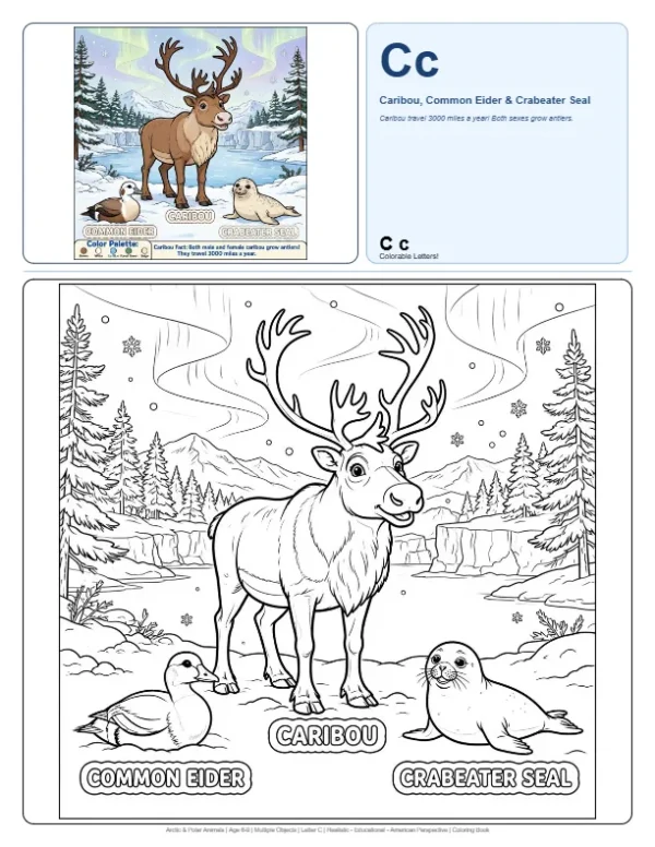 Colouring Caribou - Letter C Coloring Page
