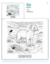 Cute Coloring Pages For Adults Ermine - Letter E Coloring Page