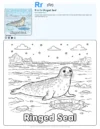 Cute Seal Coloring Page - Letter R Coloring Page