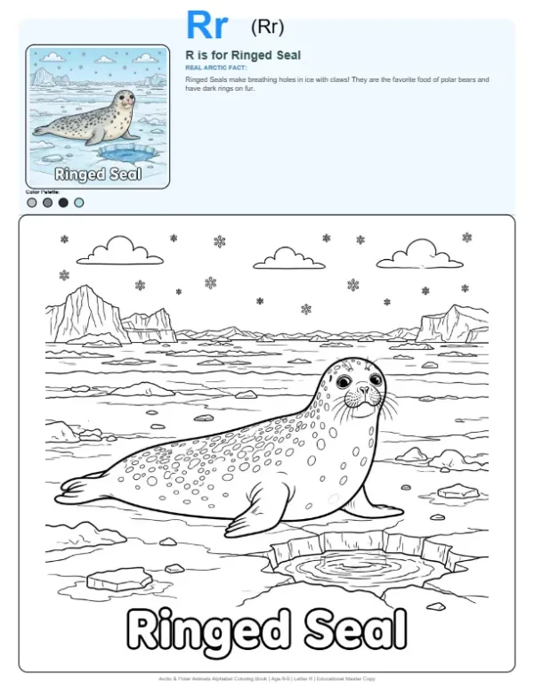 Cute Seal Coloring Page - Letter R Coloring Page