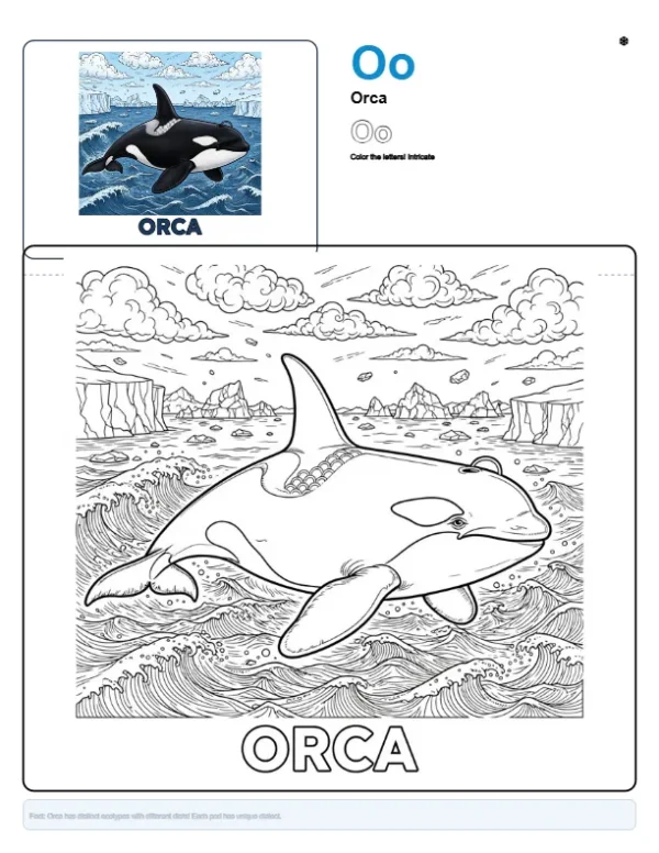 Detailed Coloring Pages Orca - Letter O Coloring Page