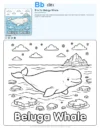 Easy Coloring Pages Beluga Whale - Letter B Coloring Page
