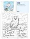 Easy Coloring Pages For Adults Snowy Owl - Letter S Coloring Page