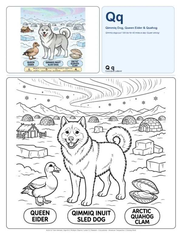 Free Coloring Pages For Boys Qimmiq - Letter Q Coloring Page