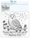 Free Coloring Pages For Girls Snowy Owl - Letter S Coloring Page