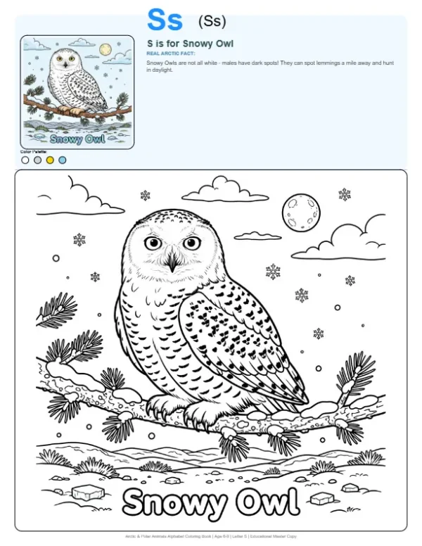 Free Coloring Pages For Girls Snowy Owl - Letter S Coloring Page