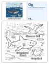 Free Coloring Pages For Teens Greenland Shark - Letter G Coloring Page
