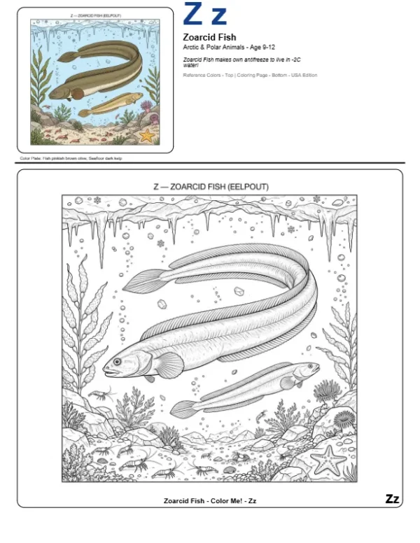 Free Coloring Pages To Print Zoarcid Fish - Letter Z Coloring Page