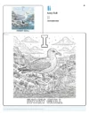Free Coloring Sheets Ivory Gull - Letter I Coloring Page
