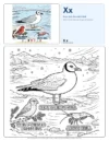 Free Colouring Pages Xeme - Letter X Coloring Page
