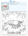 Free Printable Coloring Pages For Kids Zooplankton - Letter Z Coloring Page