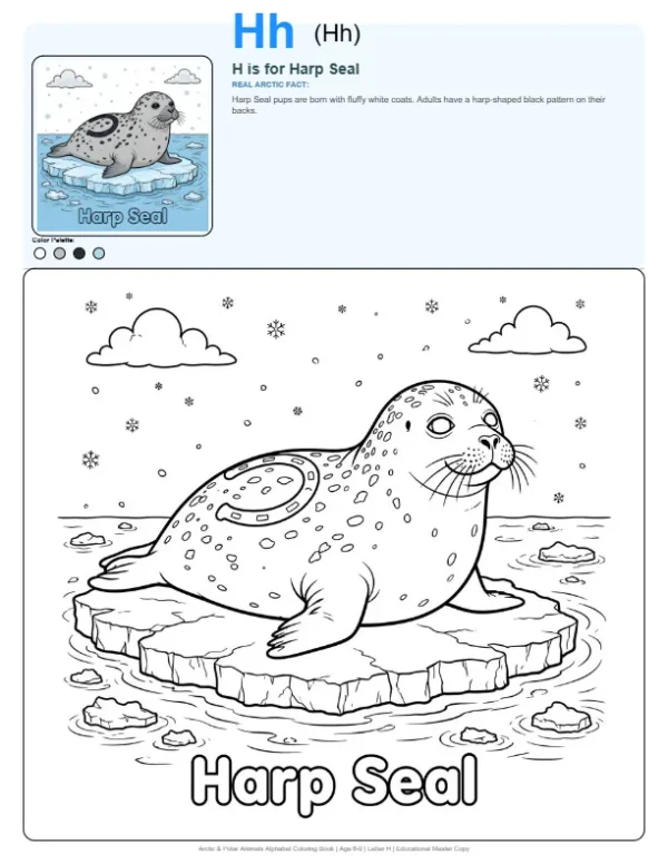 Harp Seal Coloring Sheets - Letter H Coloring Page